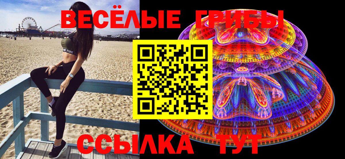 где купить наркотик  Псилоцибиновые грибы Magic Shrooms  Вход с VPN  Ирбит 